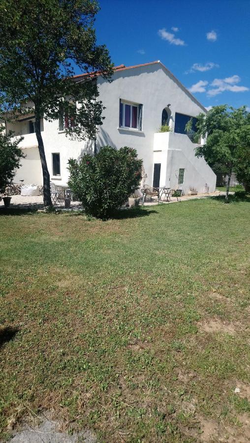 Bed and Breakfast L'Esperluette en Camargue à Uchaud Extérieur photo